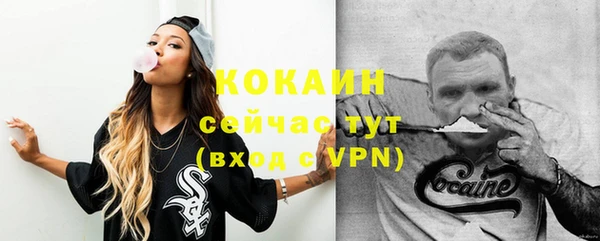mix Богородицк
