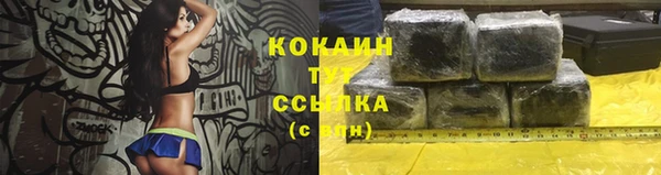 mix Богородицк