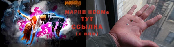 mix Богородицк