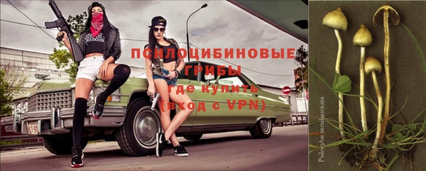mix Богородицк
