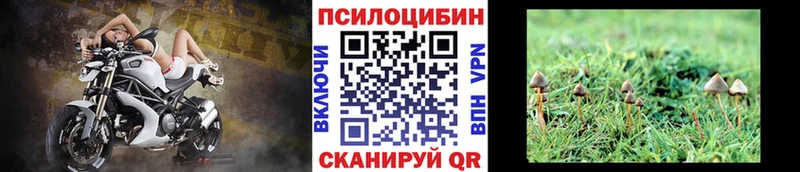 Псилоцибиновые грибы мухоморы дарнет шоп kraken вход Ковдор