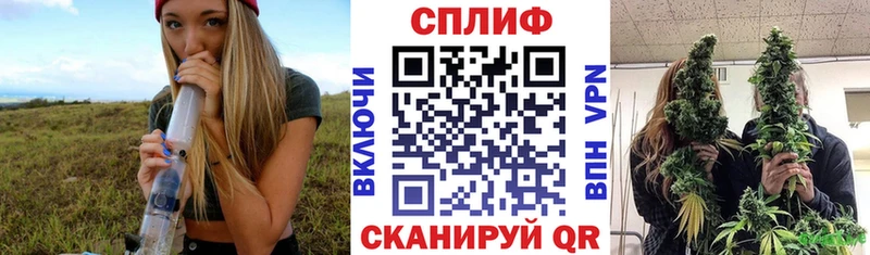 Конопля марихуана  Ковдор 